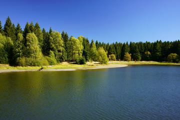 Scenic lake in the forest near Clausthal-Zellerfeld in Lower Saxony, Harz, Germany.