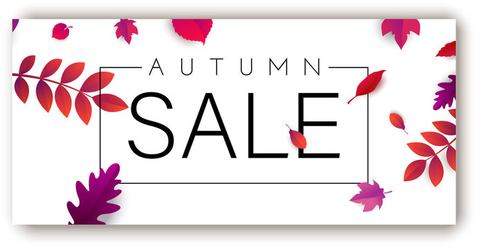 Autumn sale promo poster or label with beautiful leaves.