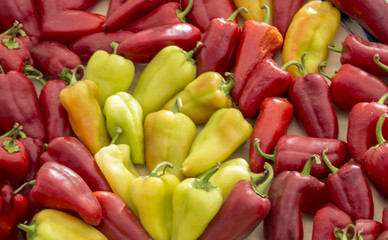 Yellow and red bell peppers background - capsicum