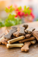 Dog tasty colored biscuits on wooden background 