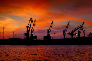 Obraz premium View on seaport with cranes at sunset. Evening panorama of the cargo port
