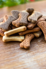 Dog tasty colored biscuits on wooden background 