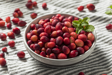 Raw Red Organic Cranberries