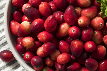 Raw Red Organic Cranberries