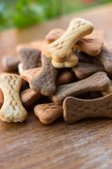Dog tasty colored biscuits on wooden background 