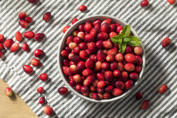 Raw Red Organic Cranberries
