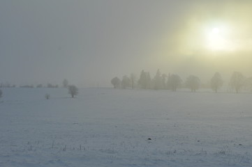Zima pod Grunwaldem