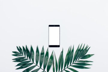 Smart phone with blank screen above two crossed green palm leaves