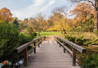 Fototapeta na wymiar Wooden bridge in a Japanese garden