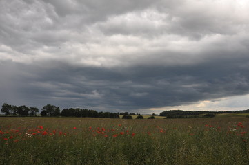 Nadchodząca burza