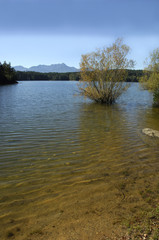 Lago di Forstsee, Carinzia, Austria