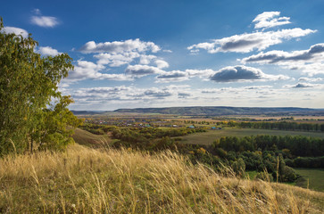autumn forest, forest road