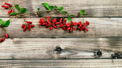 Barberry branch on wooden background