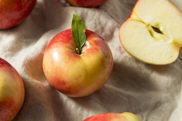 Raw Organic Red Apples