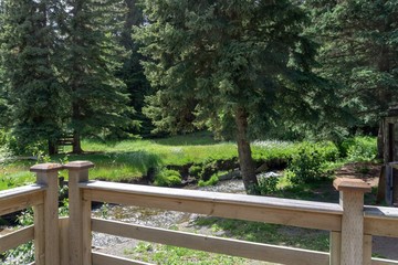 Fototapeta premium Wooden fence in the woods