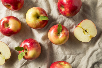 Raw Organic Red Apples