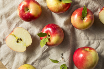Raw Organic Red Apples
