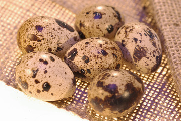 photo of the quail eggs