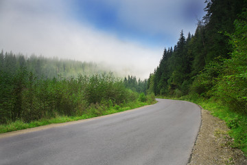 Fototapeta na wymiar Road with fog in mountains, with dense pine forest on the rocky slopes of the mountains. Idea for outdoor activities, tourism, travel and adventure.
