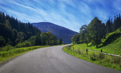 Naklejka premium Road with fog in mountains, with dense pine forest on the rocky slopes of the mountains. Idea for outdoor activities, tourism, travel and adventure.