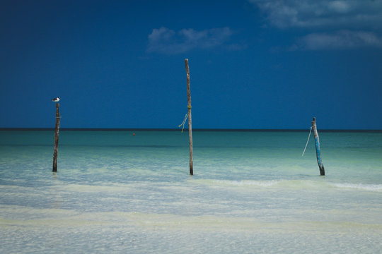 CARIBBEAN SEA