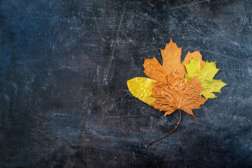 Different autumn metallic gold copper leaf bouquet. Different fall metallic paint leaves on dark natural background with copy space. Autumn, harvest concept