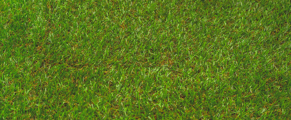 Grass texture or grass background. Green grass for golf course, soccer field or sports background...
