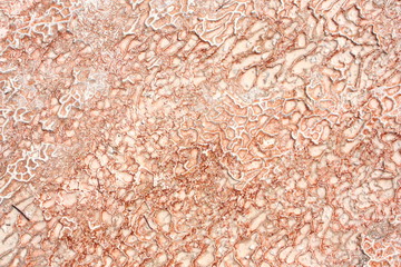 A natural and cultural UNESCO World Heritage Site in the province of Denizli in the south-west of Turkey. Geothermal sources. Background, texture