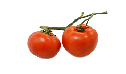 Two tomatos isolated on white.