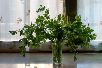 parsley bouquet on marble shelf