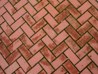 Top view of a wet pavement from tiles for use as a background