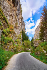Road in Rhodope Mountains