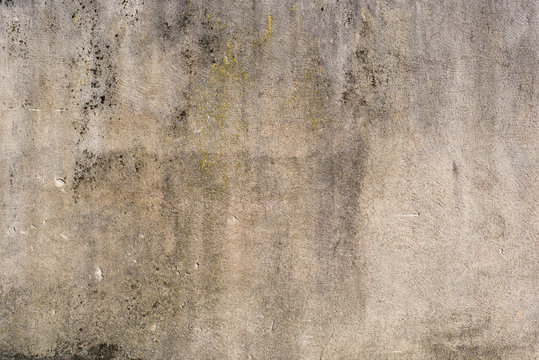 mur sale et ab&icirc;m&eacute;