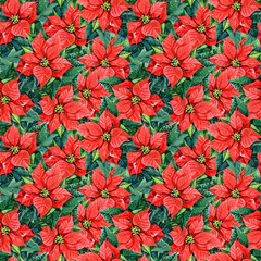 Seamless pattern of poinsettia, watercolor background Christmas illustration.