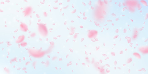 Fototapeta na wymiar Sakura petals falling down. Romantic pink flowers falling rain. Flying petals on blue sky wide backg