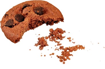 Bitten Cookie with Chocolate Chips - Isolated