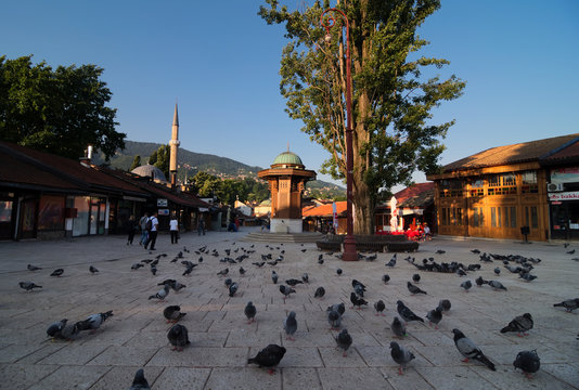 Sebilj in Sarajevo. View at the main square in the city center of Sarajevo (Ba&scaron;čar&scaron;ija) full with pigeons early in the morning. Fountain in the middle and Ba&scaron;čar&scaron;ijska džamija (mosque) at the back.