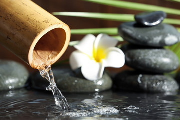 Traditional bamboo fountain with spa stones and flower, closeup. Space for text