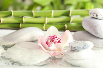Orchid with spa stones and bamboo branches in water