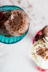Plastic Ice Cream Sundae Cones with Chocolate and Vanilla Ice Cr