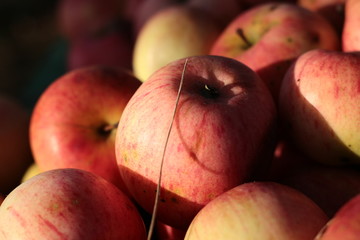 fruit, food, apple, red, fresh, apples, healthy, sweet, market, 