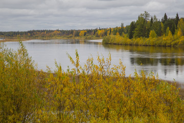 Beautiful autumn landscape