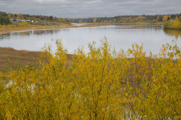 Beautiful autumn landscape