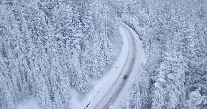 Winter Drive