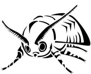 tribal moth tattoo