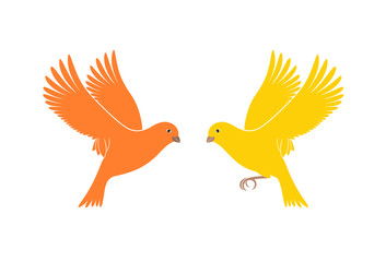 Canary logo. Isolated canary on white background. Bird