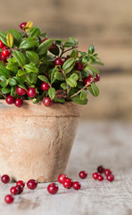Fresh ripe cranberries on a wooden background