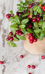 Fresh ripe cranberries on a wooden background