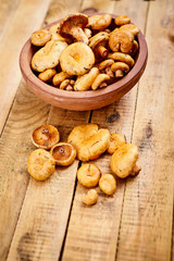 delicious fresh lactarius mushrooms straight from the forest in a brown bowl on an old wooden table
