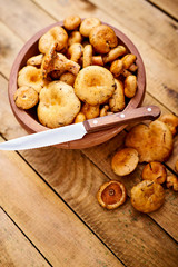 delicious fresh lactarius mushrooms straight from the forest in a brown bowl and a knife on an old wooden table